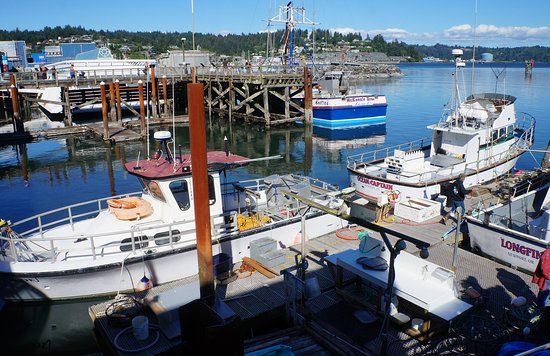 Newport's Historic Bayfront